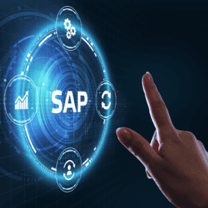 BI Dashboard Development – SAP BW